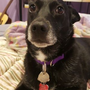 Meet your Posher, Lena